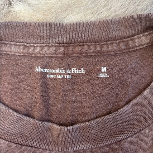Abercrombie & Fitch Soft Brown Tee - Picture 3 of 3